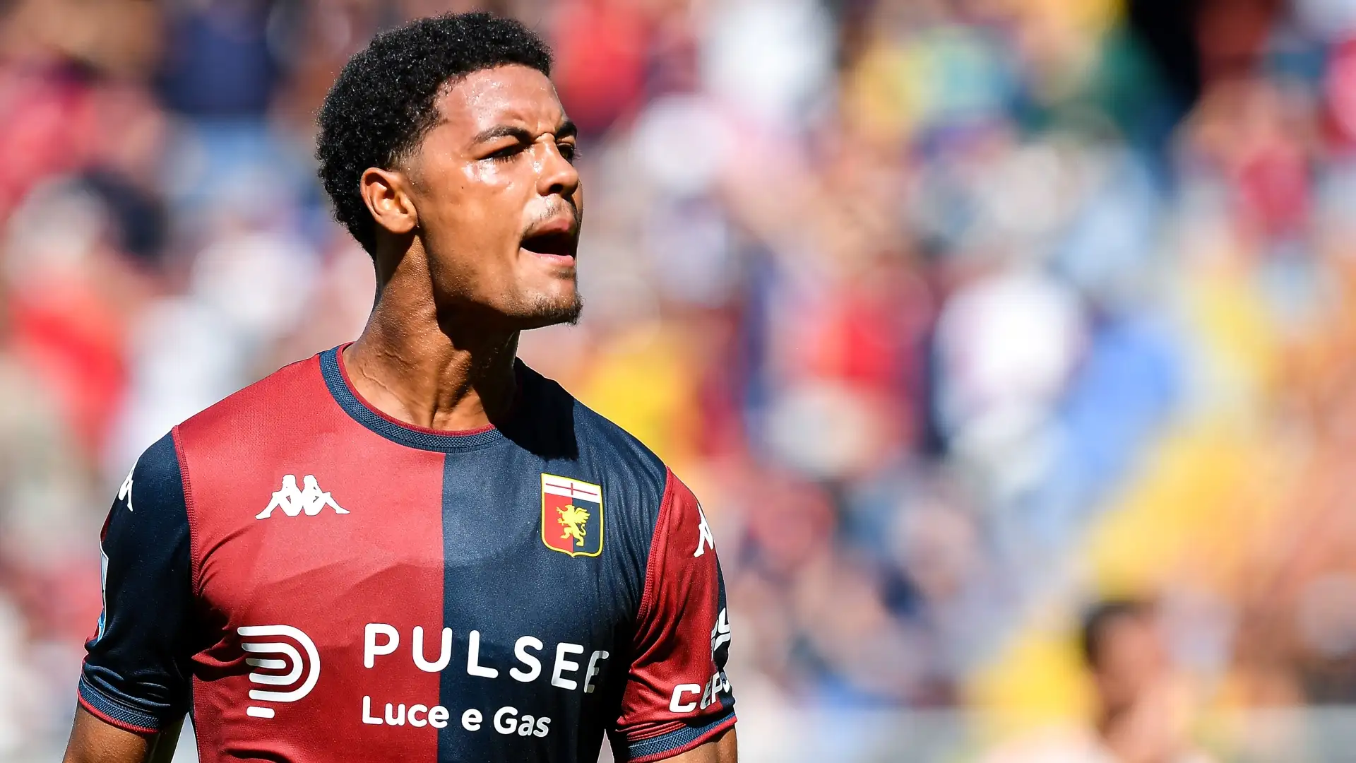 De Winter con la maglia del Genoa